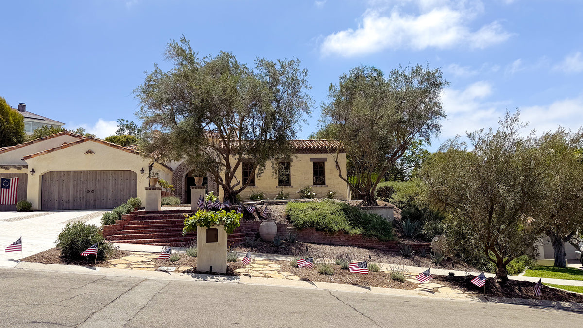 Large mature olive trees in residential landscape